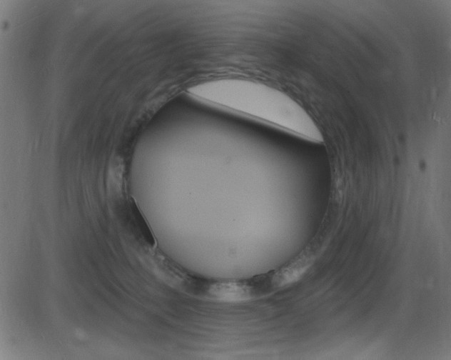 X0000081480231200701121049