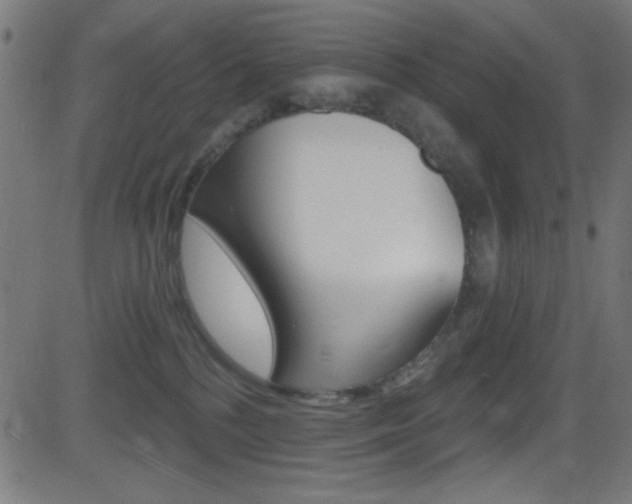 X0000081480232200701121049