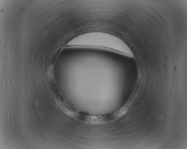 X0000081480239200701121049