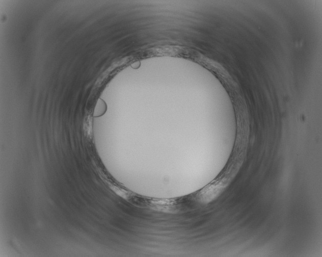 X0000081480240200701121049
