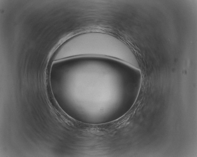 X0000081480244200701121048