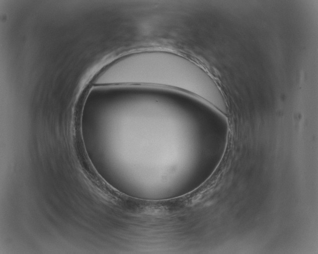 X0000081480248200701121048