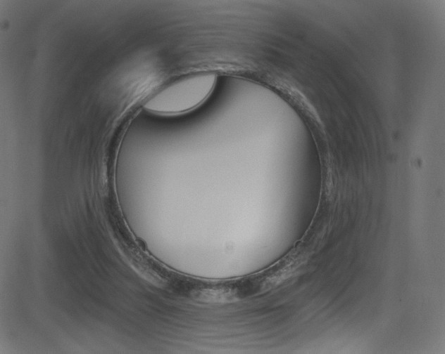 X0000081480251200701121048