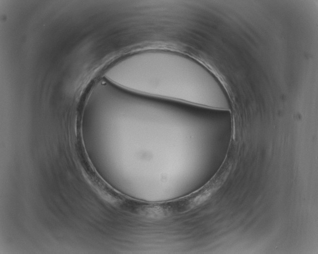 X0000081480253200701121048