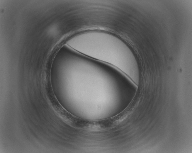 X0000081480256200701121048