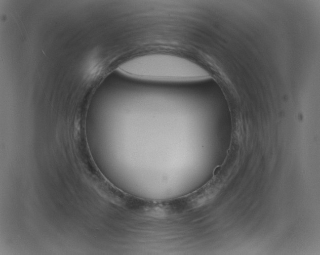 X0000081480259200701121049