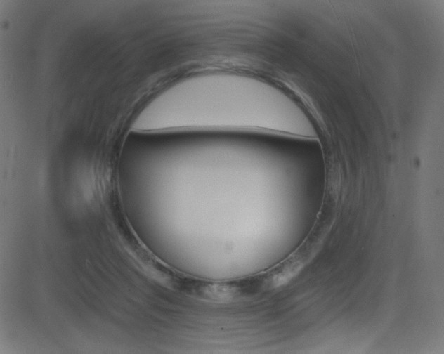 X0000081480261200701121049
