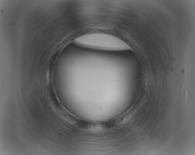 X0000081480262200701121049