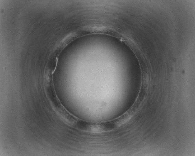 X0000081480264200701121049