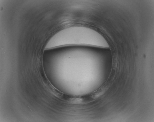 X0000081480266200701121049
