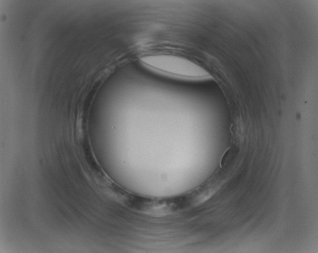 X0000081480267200701121049