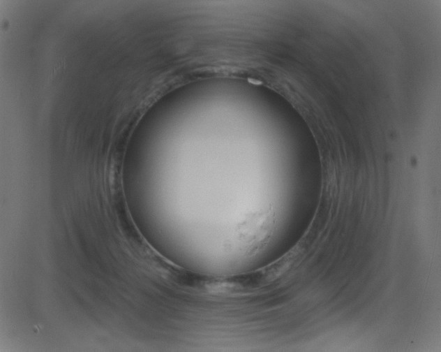 X0000081480268200701121049