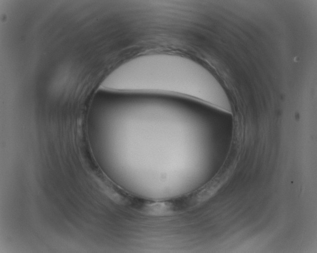 X0000081480269200701121049