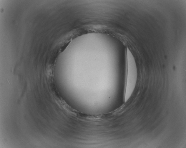 X0000081480284200701121049
