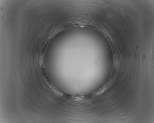 X0000081480285200701121049