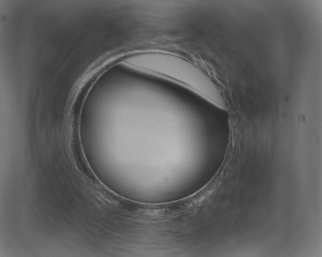 X0000081480295200701121048