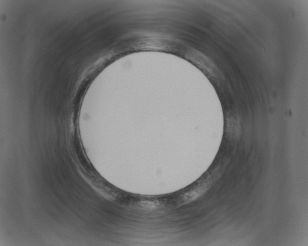 X0000081480302200701121048
