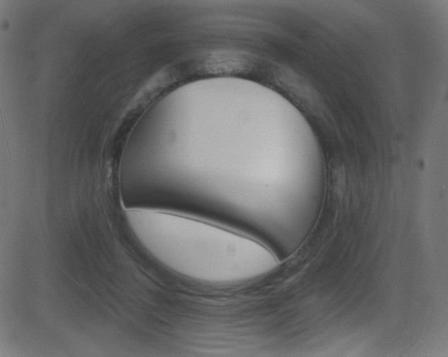 X0000081480308200701121048