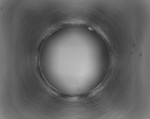 X0000081480309200701121048