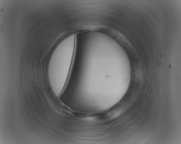 X0000081480312200701121048