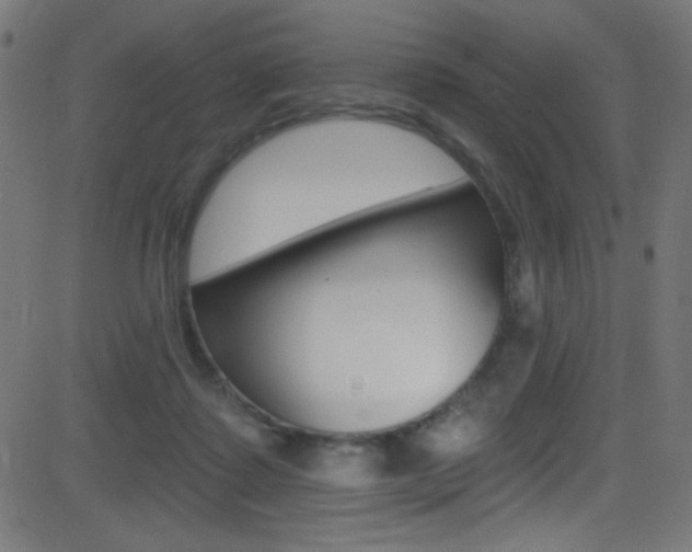 X0000081480315200701121048