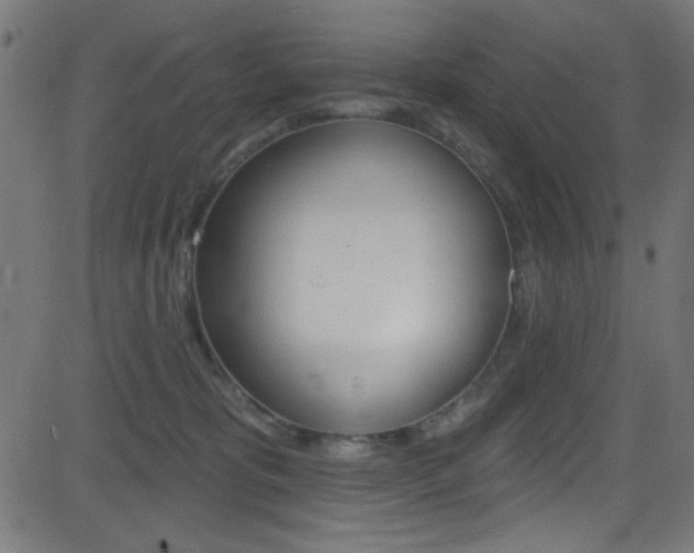 X0000081480325200701121048