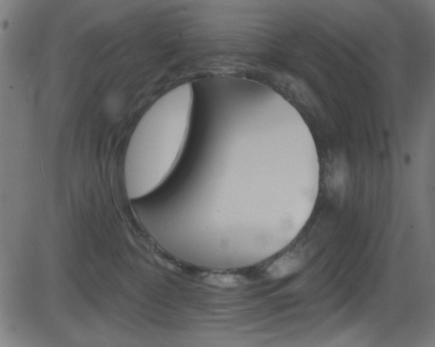 X0000081480332200701121048
