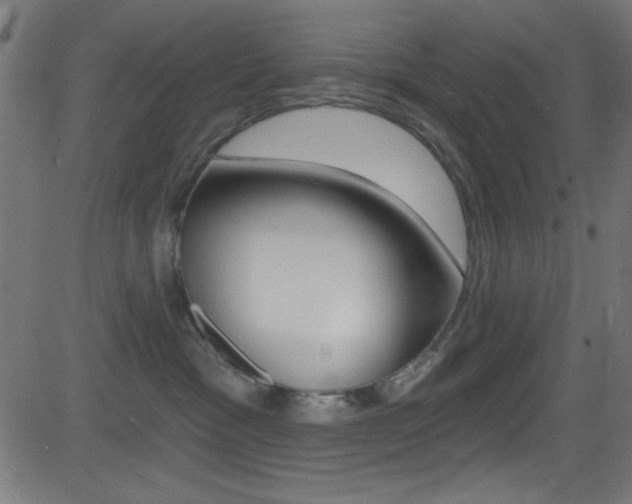 X0000081480333200701121047