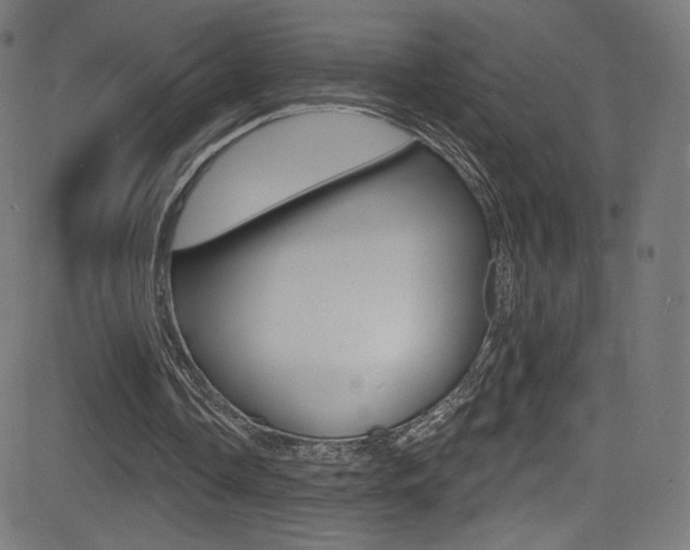 X0000081480338200701121047