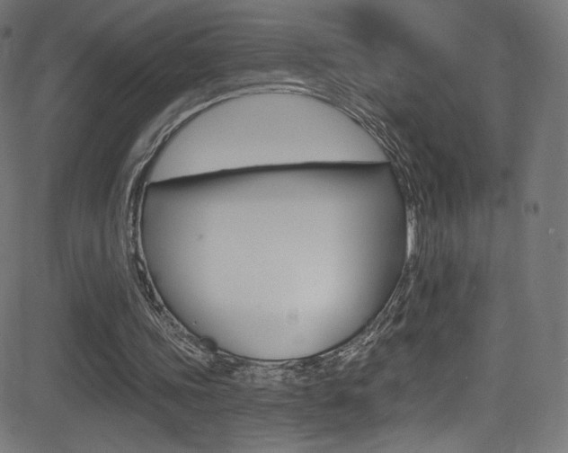 X0000081480339200701121047