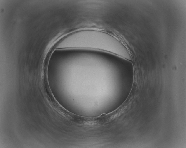 X0000081480344200701121047