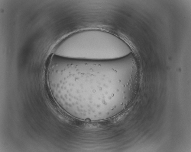 X0000081480346200701121047