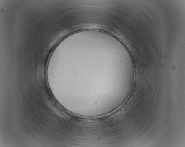 X0000081480347200701121047