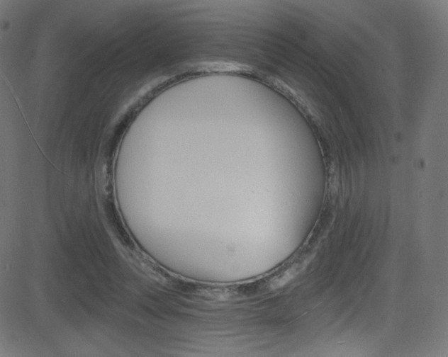 X0000081480351200701121047