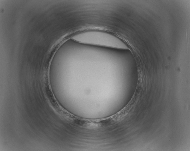 X0000081480352200701121047