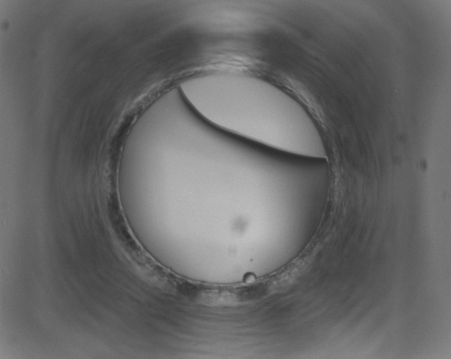 X0000081480354200701121047