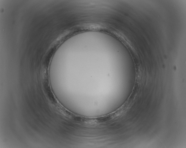 X0000081480355200701121047