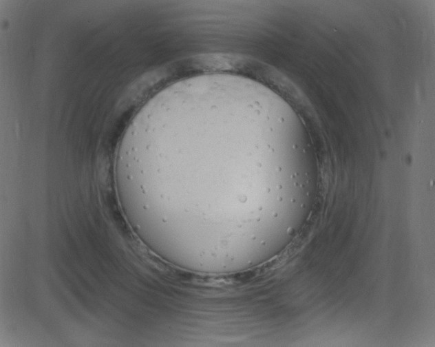 X0000081480359200701121047