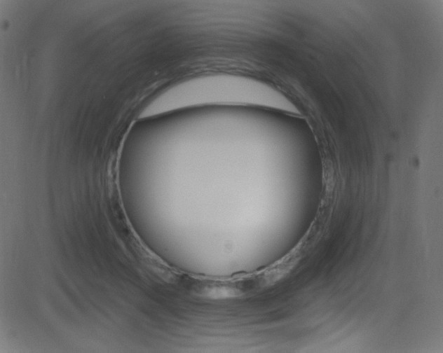 X0000081480360200701121047