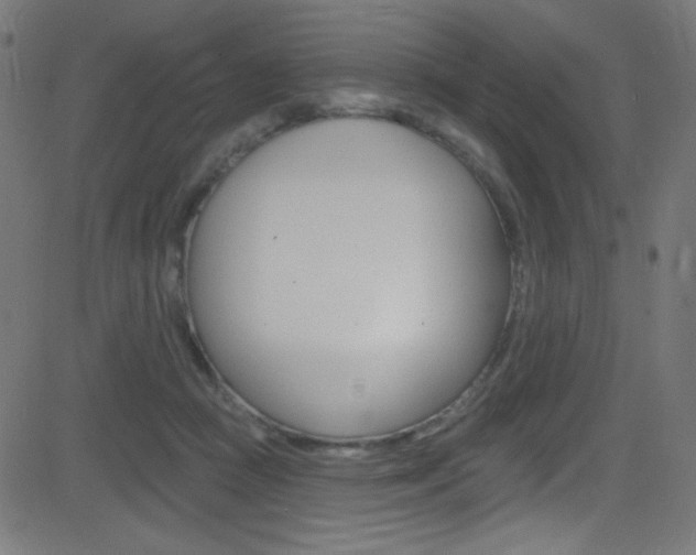 X0000081480361200701121047