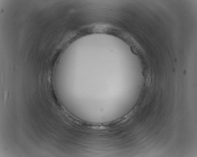 X0000081480363200701121047