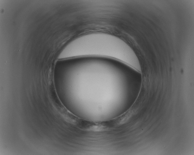 X0000081480364200701121047
