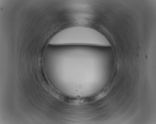 X0000081480366200701121047
