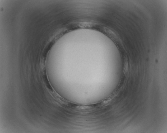 X0000081480367200701121047