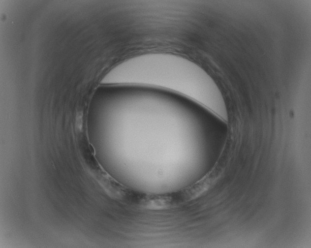 X0000081480368200701121047