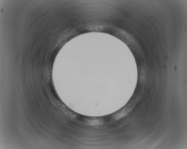 X0000081480370200701121047