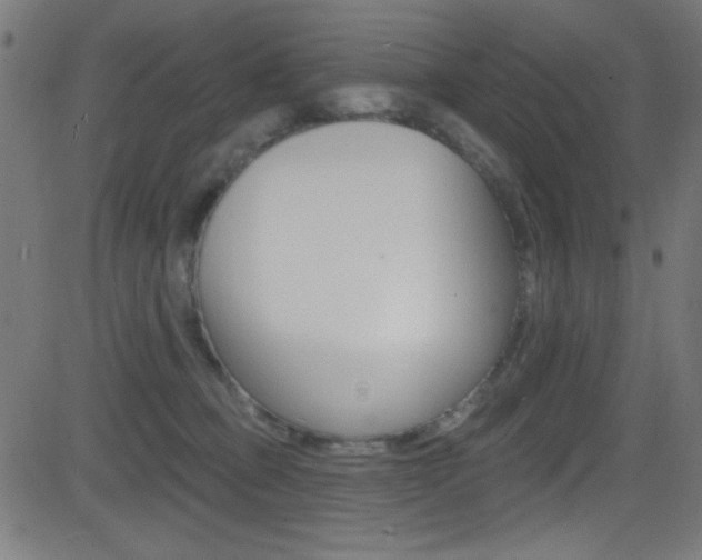 X0000081480373200701121047