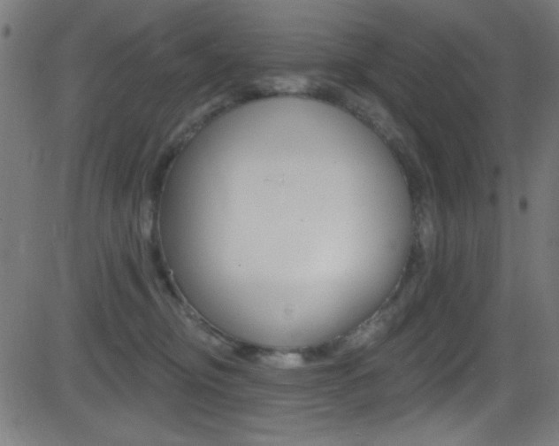 X0000081480374200701121047