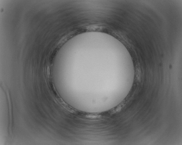 X0000081480375200701121047