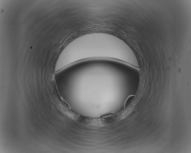 X0000081480384200701121047